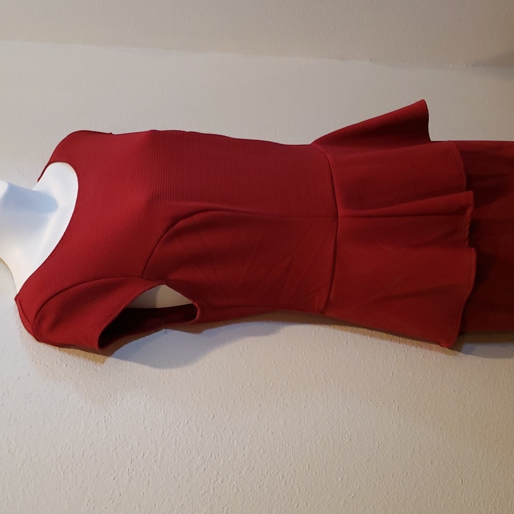 NWOT Cranberry Dress sz Large - Picture 4 of 9